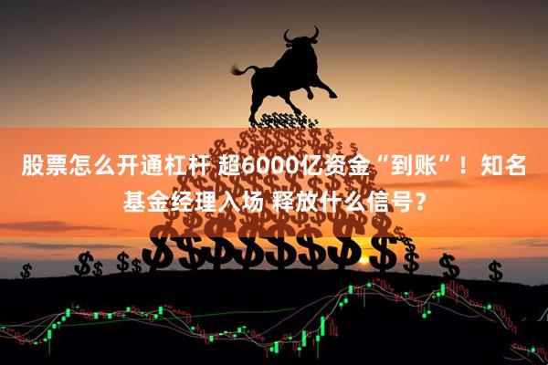 股票怎么开通杠杆 超6000亿资金“到账”！知名基金经理入场 释放什么信号？